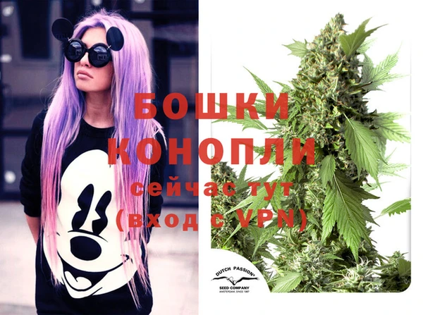 МДПВ Аркадак