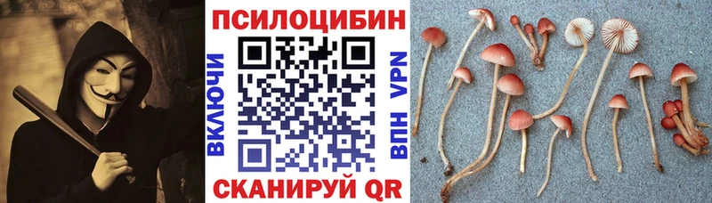 Галлюциногенные грибы ЛСД  Очёр 